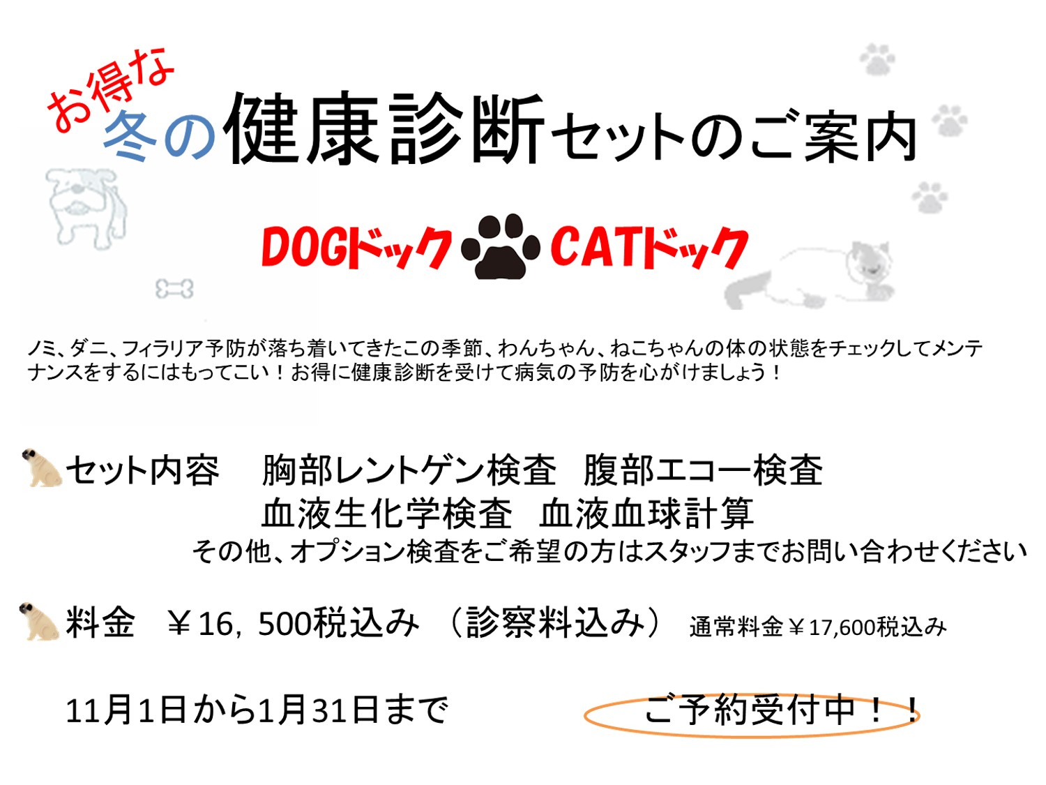 冬の健康診断キャンペーン