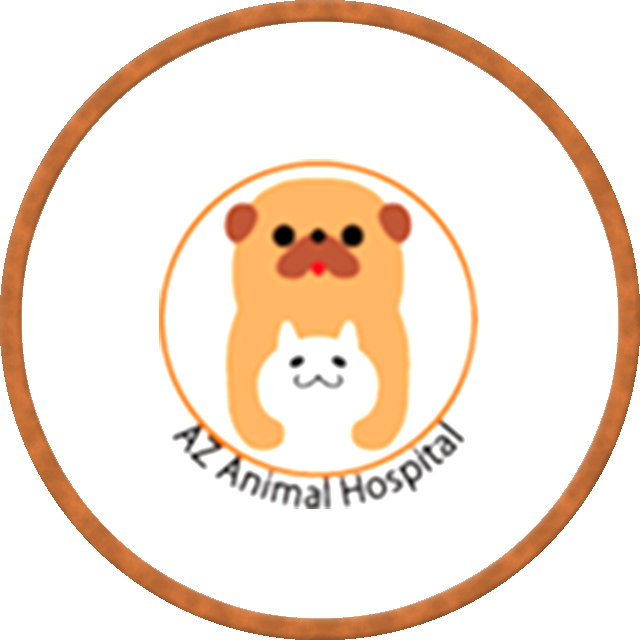 Az あず 動物病院 東京都板橋区にあるアットホームな動物病院